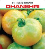 dhanashree